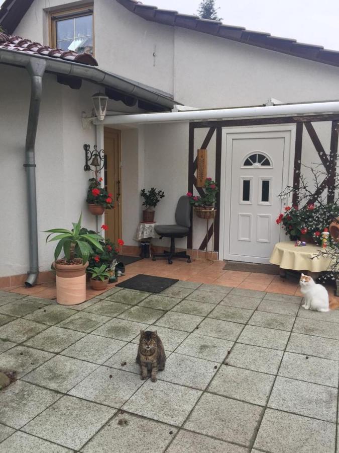 Kleines Haus Im Oderbruch Apartment Neutrebbin ภายนอก รูปภาพ