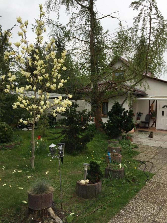Kleines Haus Im Oderbruch Apartment Neutrebbin ภายนอก รูปภาพ