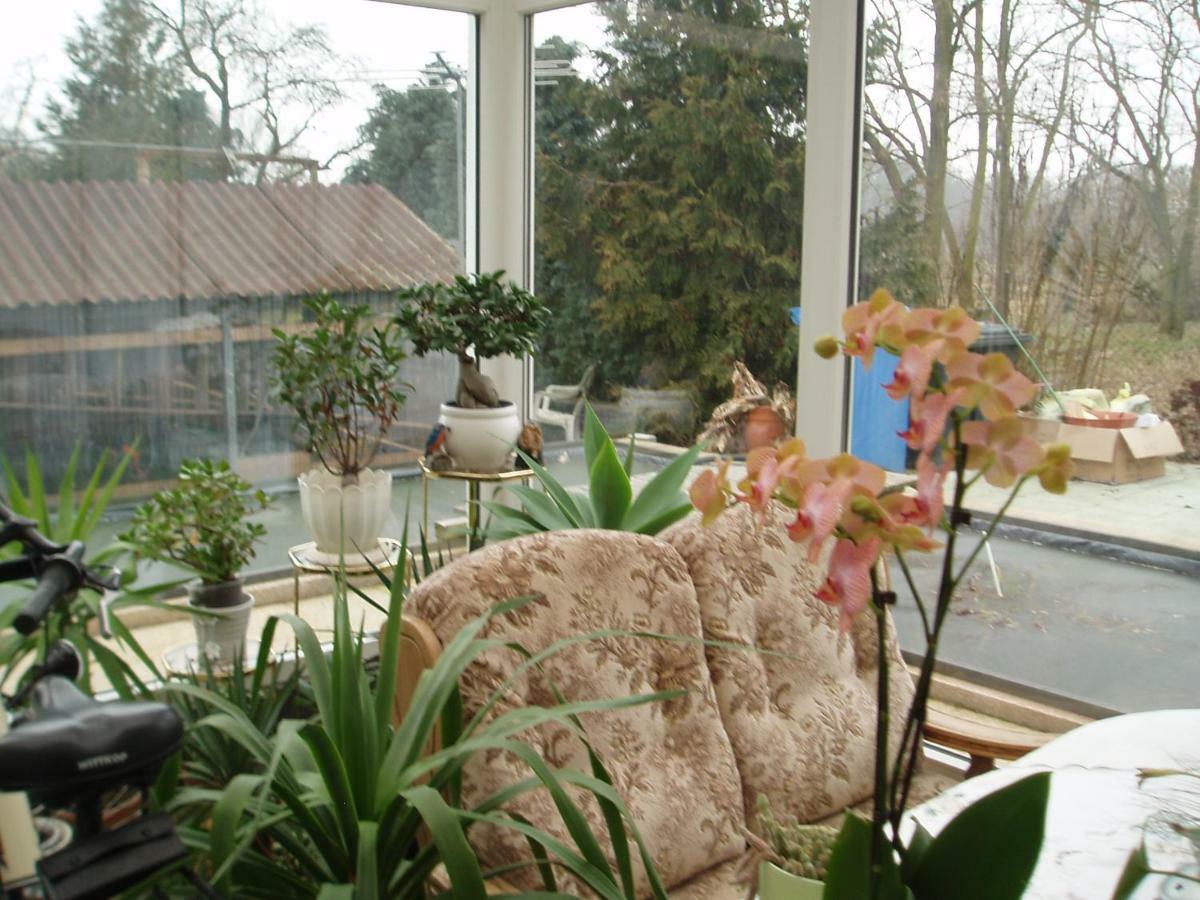 Kleines Haus Im Oderbruch Apartment Neutrebbin ภายนอก รูปภาพ