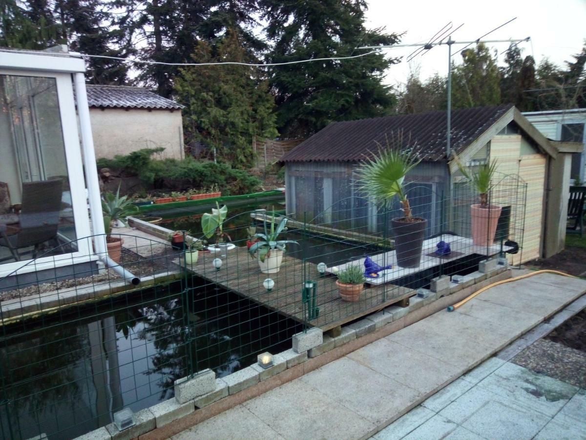Kleines Haus Im Oderbruch Apartment Neutrebbin ภายนอก รูปภาพ