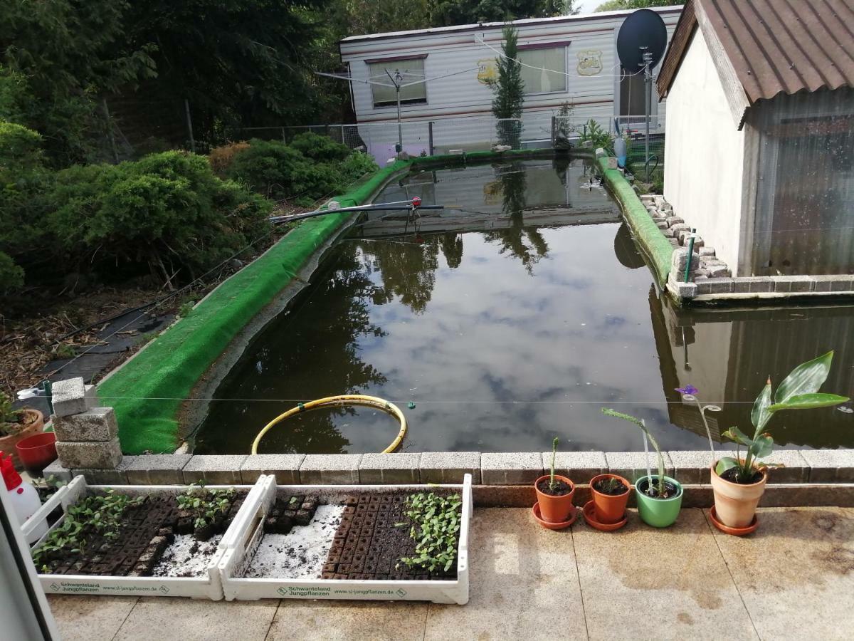 Kleines Haus Im Oderbruch Apartment Neutrebbin ภายนอก รูปภาพ